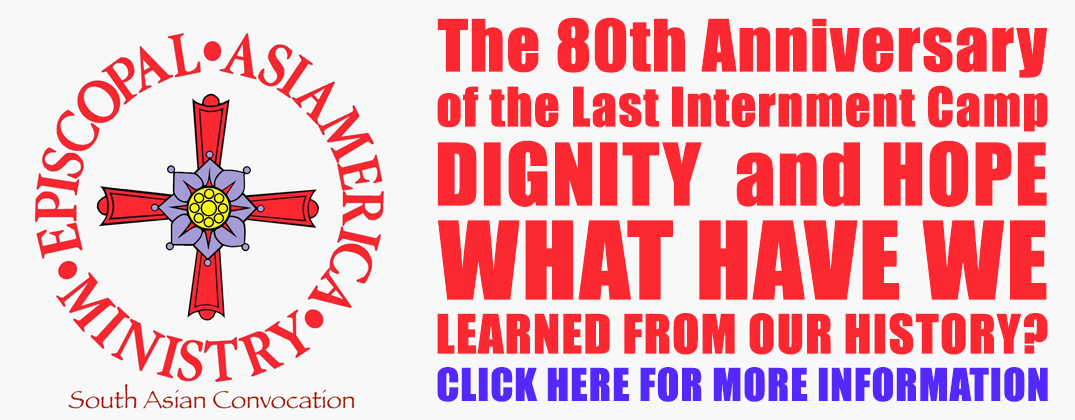 Asian American Pacific Islander